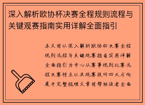 深入解析欧协杯决赛全程规则流程与关键观赛指南实用详解全面指引