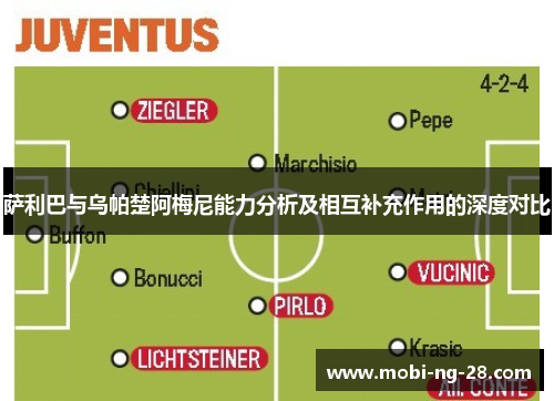 萨利巴与乌帕楚阿梅尼能力分析及相互补充作用的深度对比