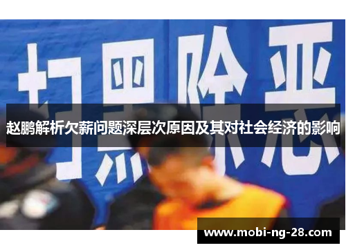 赵鹏解析欠薪问题深层次原因及其对社会经济的影响